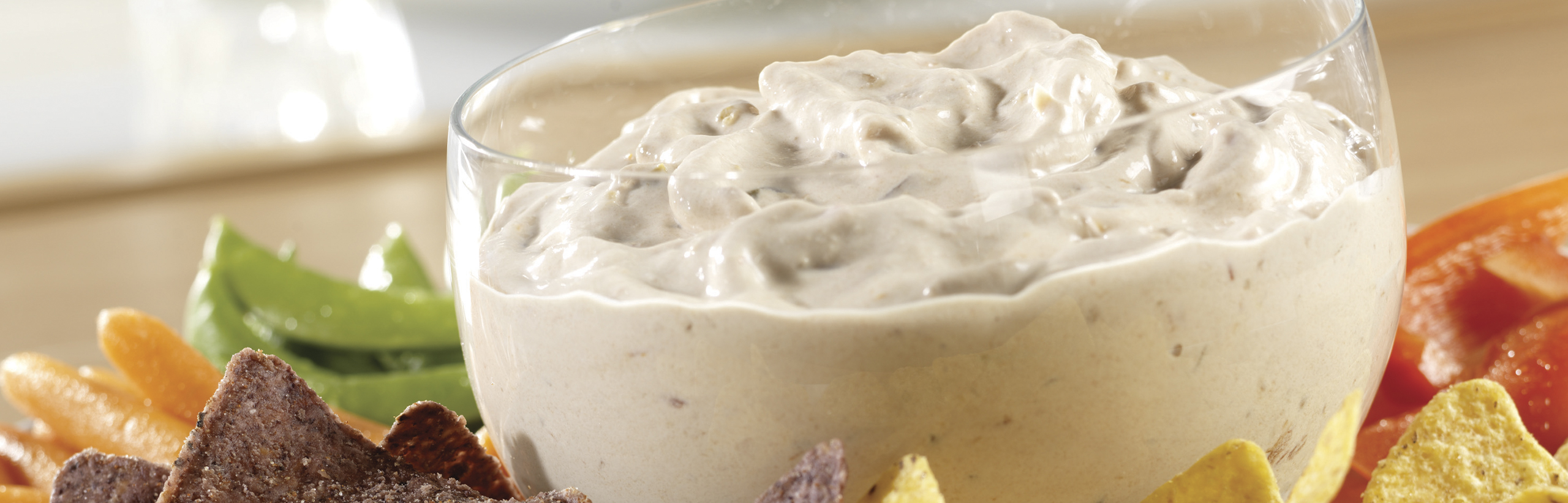 Salsa Onion Dip